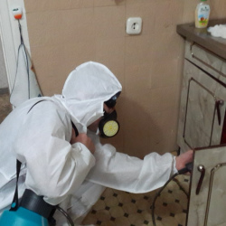 Дезинфекция от муравьев в квартире в Захарово