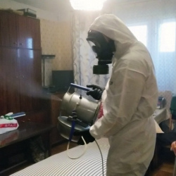 Дезинфекция от клопов в Захарово