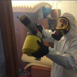 Уничтожение клопов в квартире. Захарово